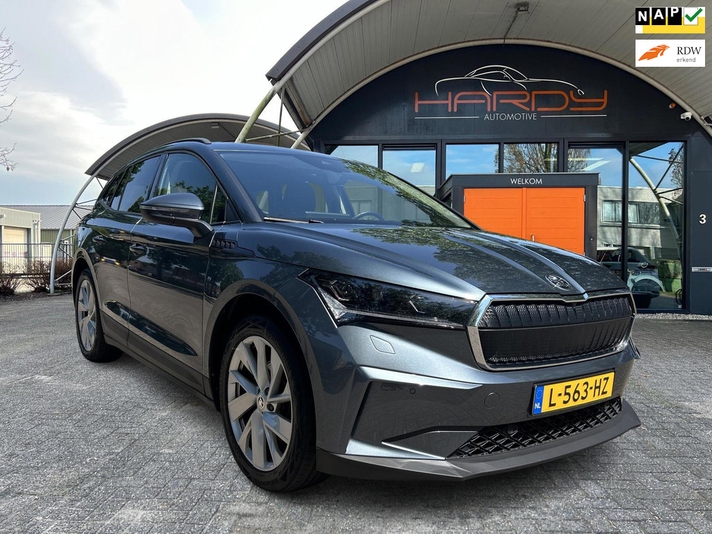54380294